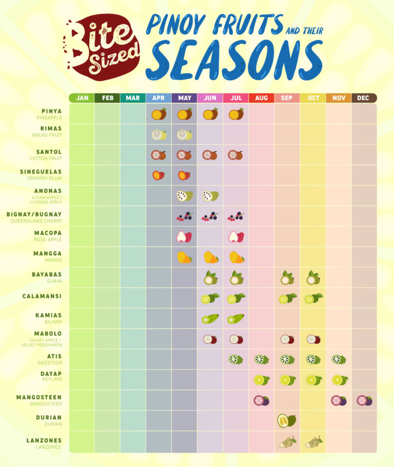 Pinoy Fruits And Their Seasons - Bitesized.ph