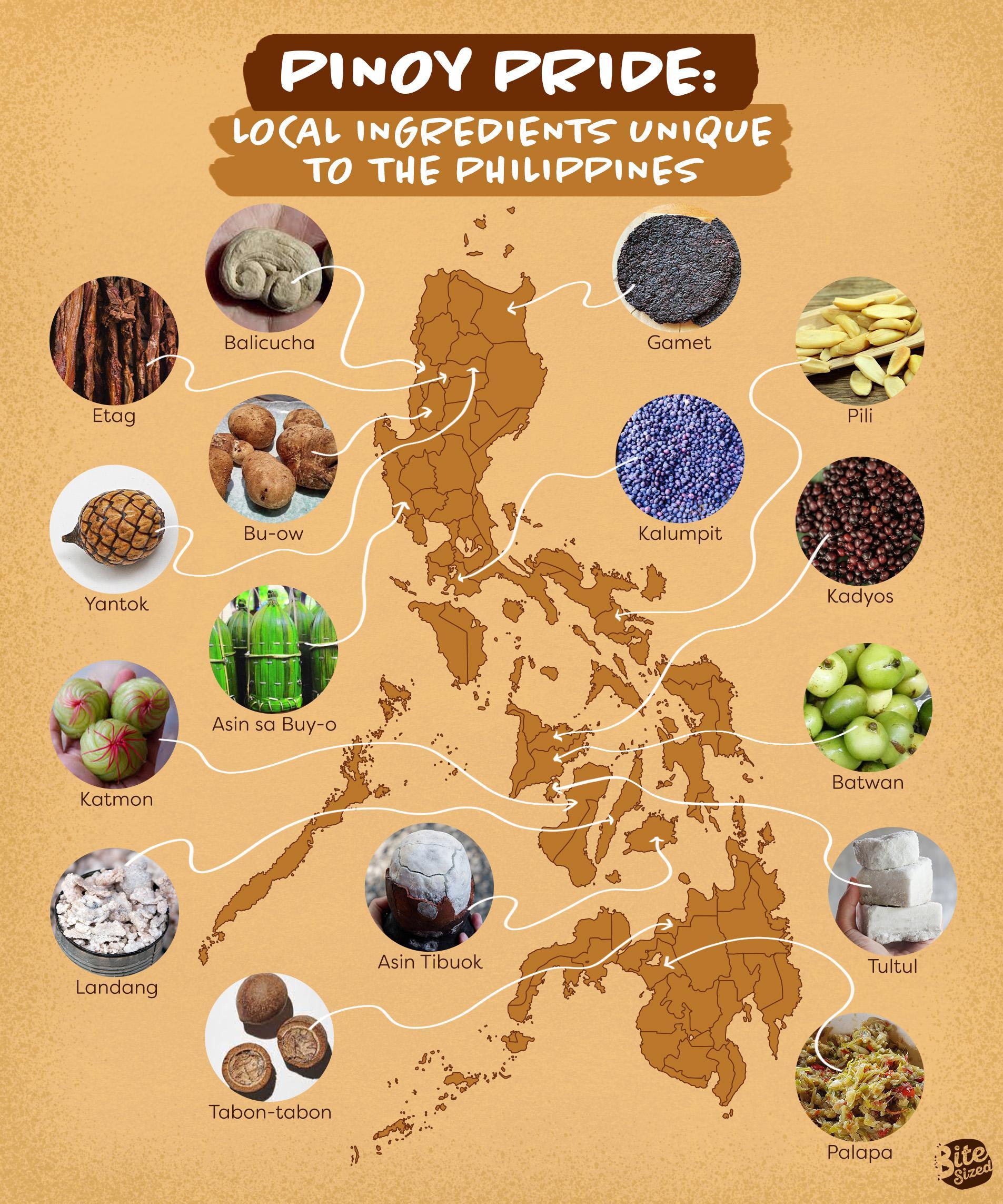 pinoy-pride-local-ingredients-unique-to-the-philippines-bitesized-ph